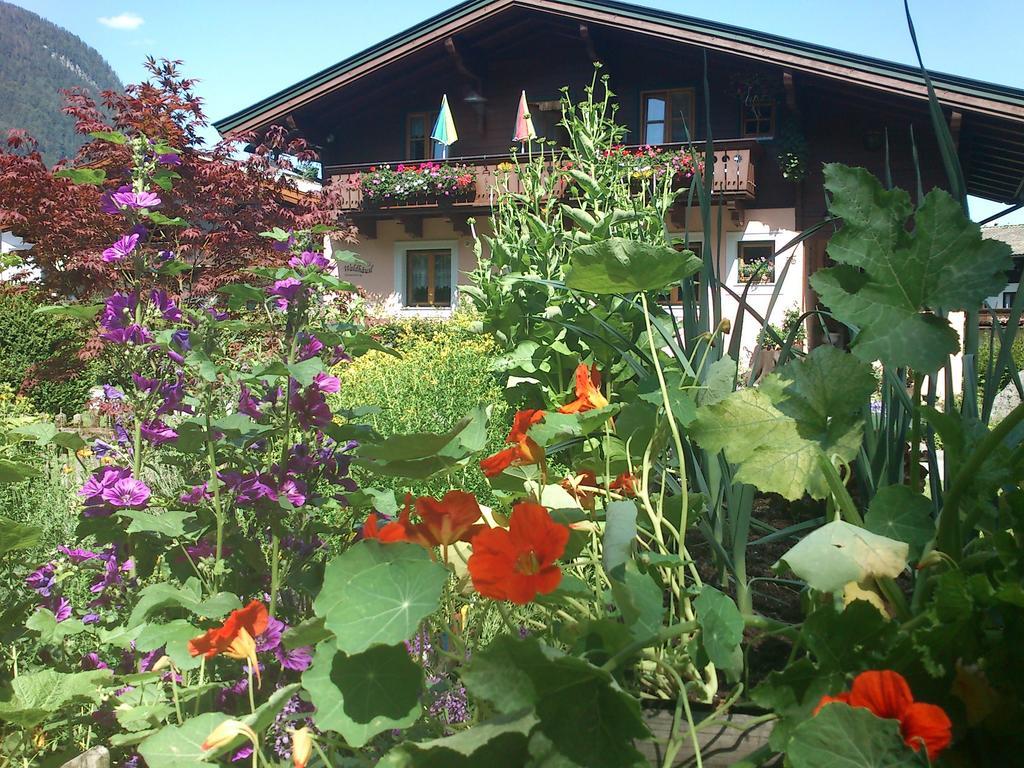 Ferienwohnung Waldhaeusl Санкт-Мартин-бай-Лофер Экстерьер фото